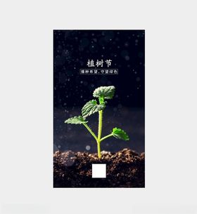 植树节312