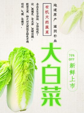 高山大白菜推广图