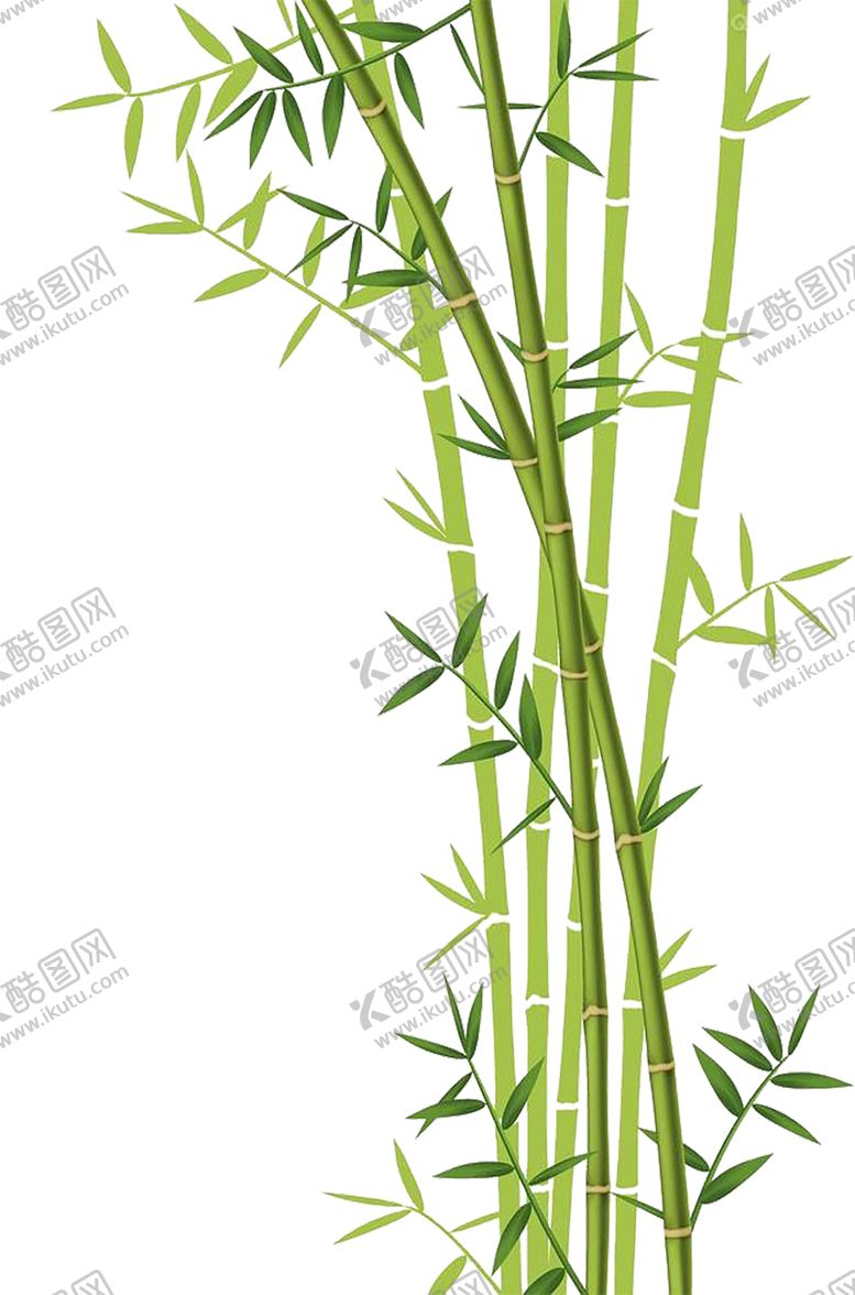 编号：92051410241220033080【酷图网】源文件下载-透明png竹子图片