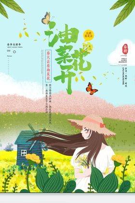 油菜花