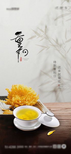 重阳节海报菊花品茶中式中国传统日