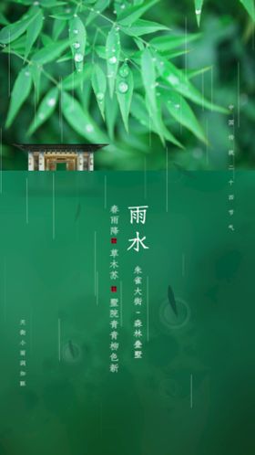 雨水