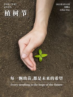 简约清明节摄影图海报