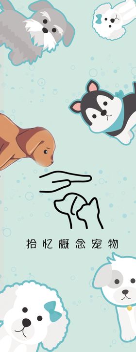 宠物