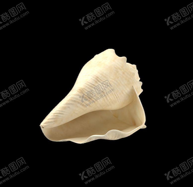 编号：17928907030444291428【酷图网】源文件下载-海洋生物