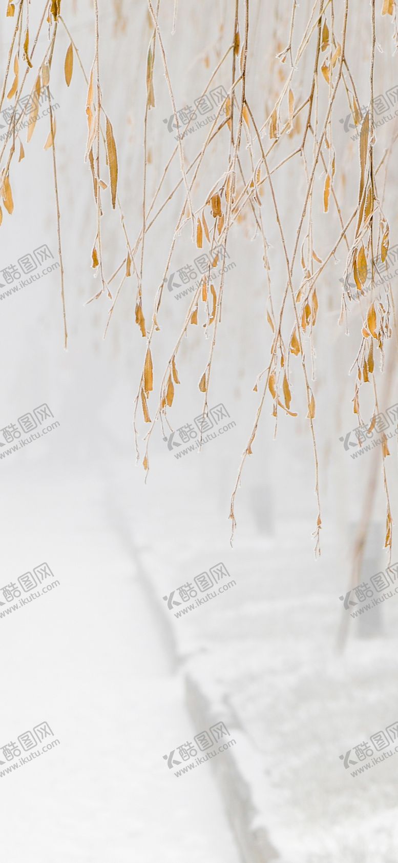 编号：25091409210151454772【酷图网】源文件下载-手机壁纸