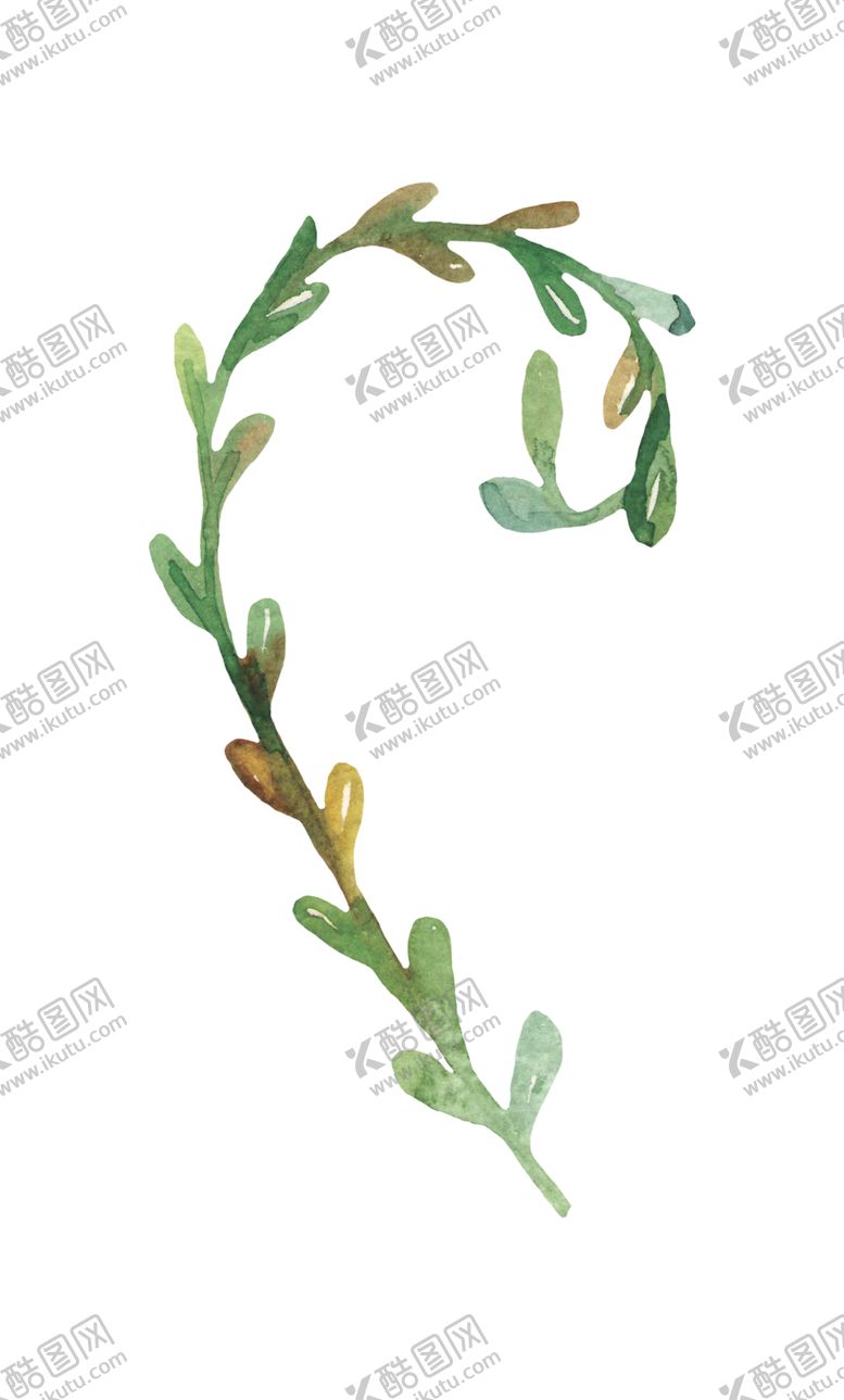 编号：48036706242116083799【酷图网】源文件下载-水彩植物花朵图案