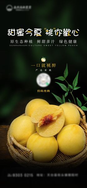 桃子油桃黄桃