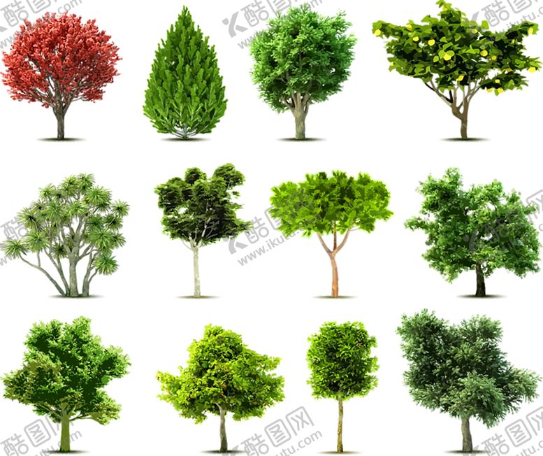 编号：30620809281159103963【酷图网】源文件下载-绿色相框