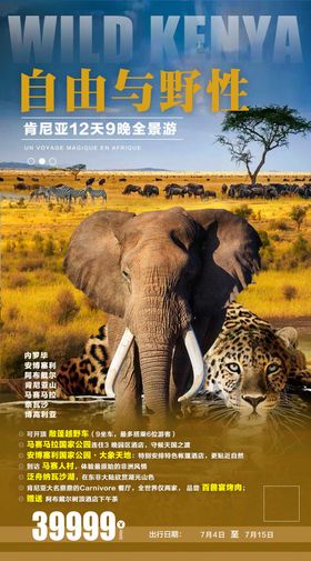 肯尼亚非洲旅游海报