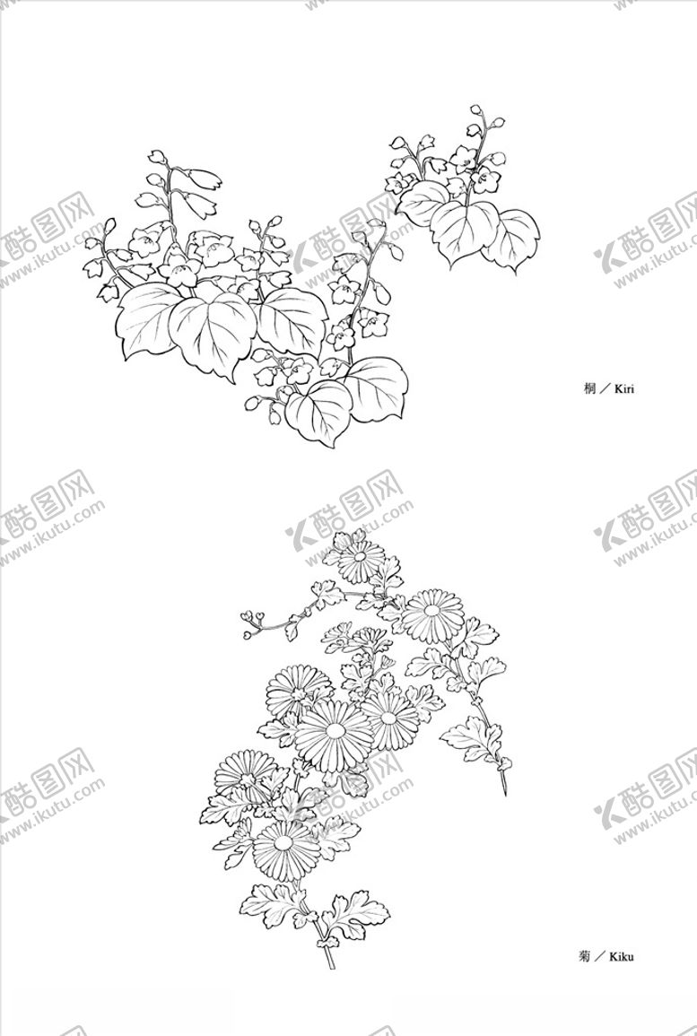 编号：29224110210108573923【酷图网】源文件下载-线描花朵
