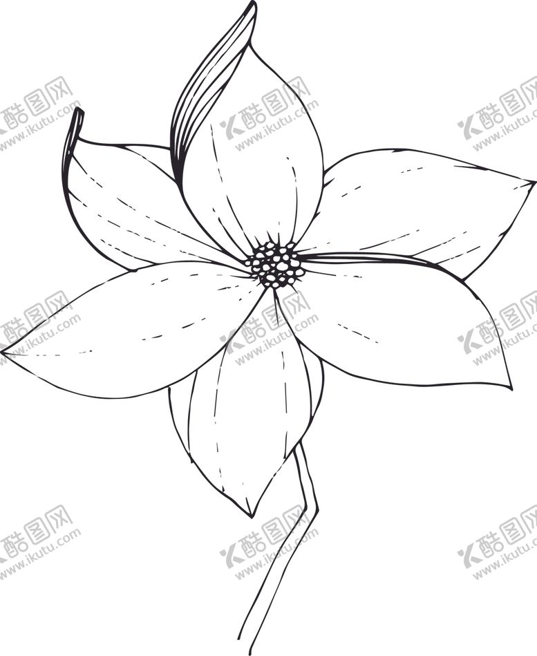 编号：30046112131341167285【酷图网】源文件下载-白描植物