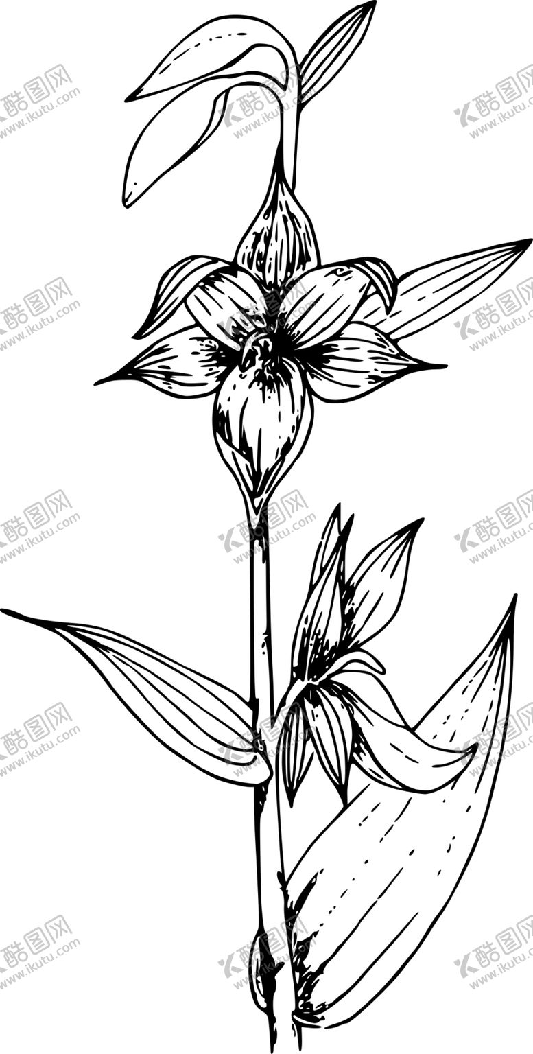 编号：19113304221743126309【酷图网】源文件下载-白描画