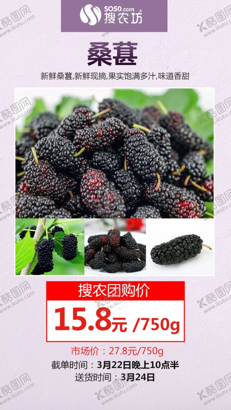编号：27515210191632203967【酷图网】源文件下载-桑葚海报