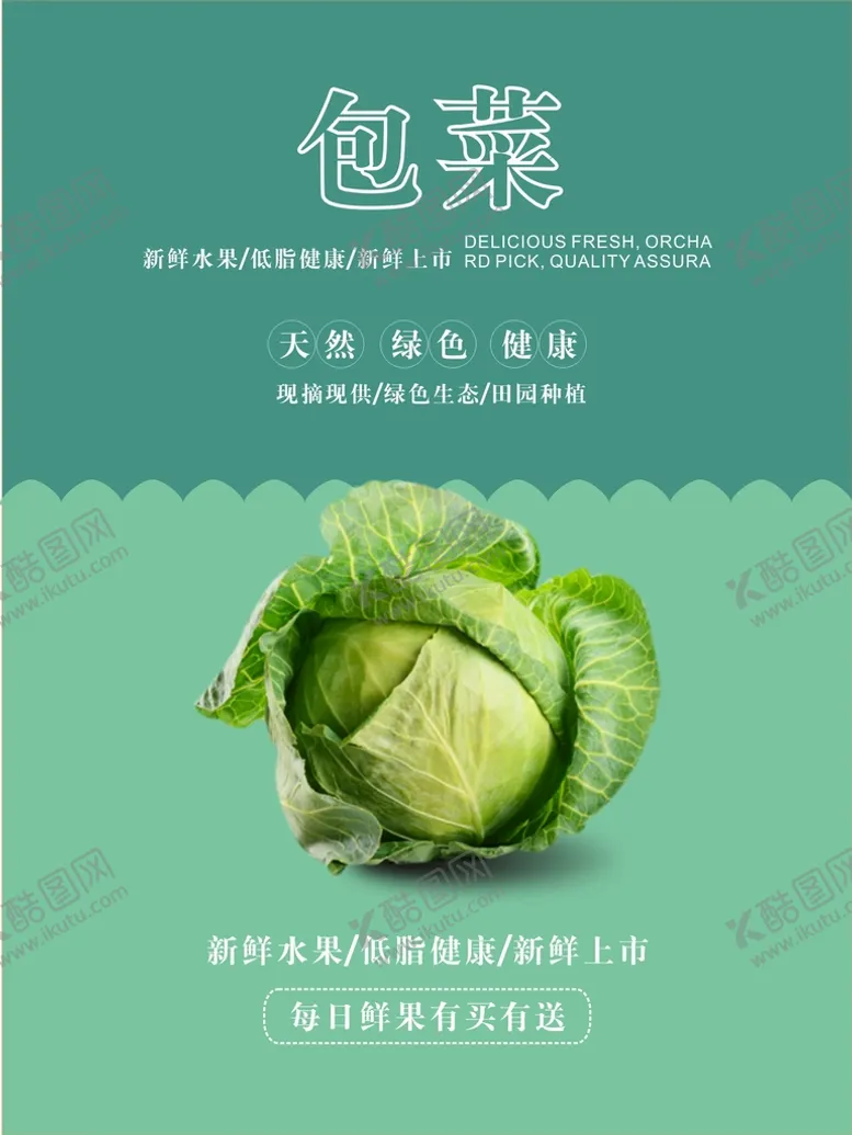 编号：13024112011242357037【酷图网】源文件下载-包菜海报