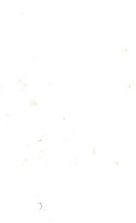水彩花数码印大牌小碎