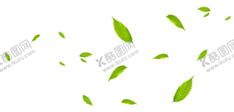 编号：17048705100740251888【酷图网】源文件下载-树叶