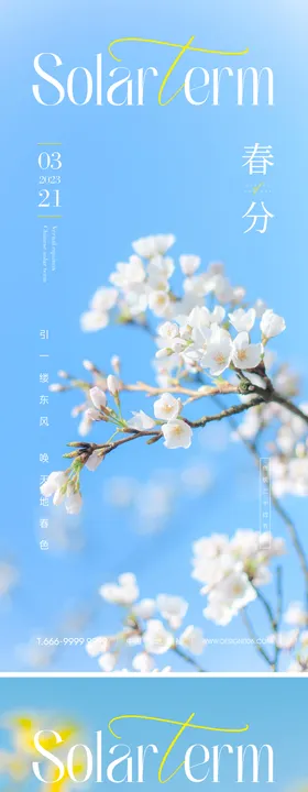 春分节气海报小清新二十四立油菜花
