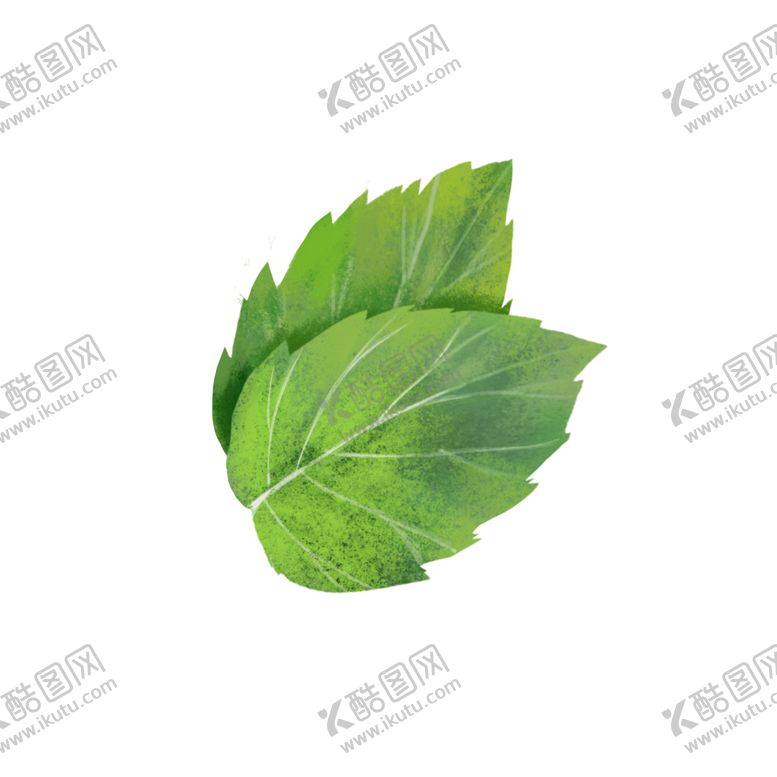 编号：84759305010743573100【酷图网】源文件下载-薄荷植物元素