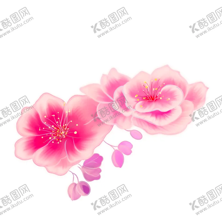 编号：23876802112012376115【酷图网】源文件下载-桃花特写花朵植物