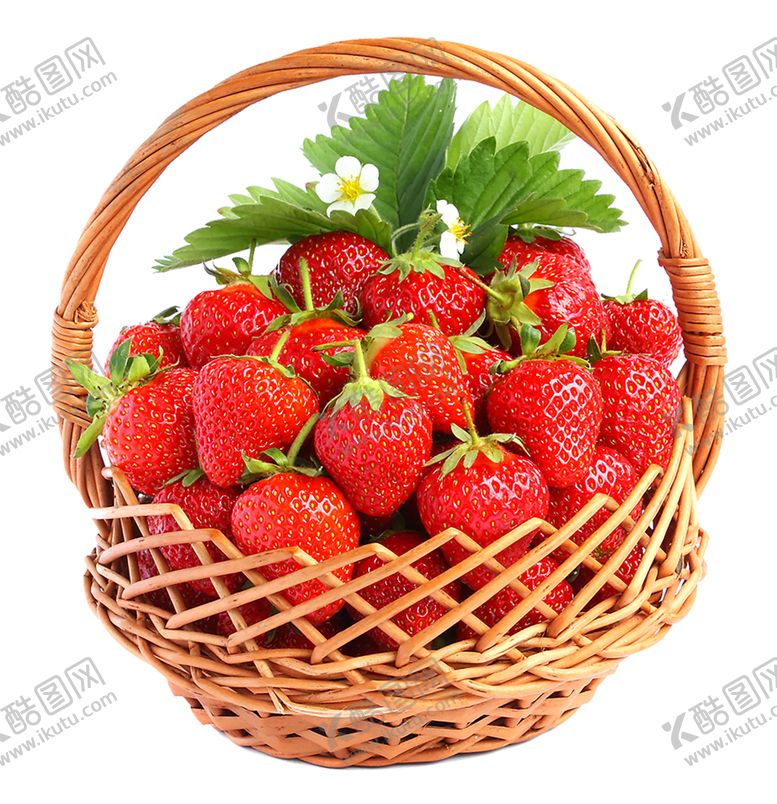 编号：33881109221935343503【酷图网】源文件下载-水果