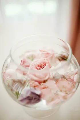 玫瑰摄影爱情花花绽放