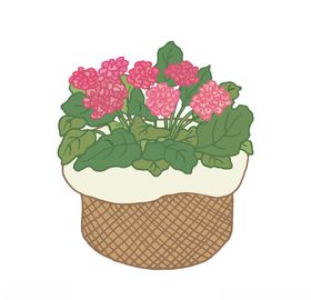 线条植物