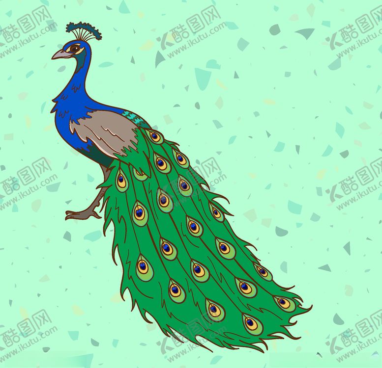 编号：79767806241544164860【酷图网】源文件下载-孔雀