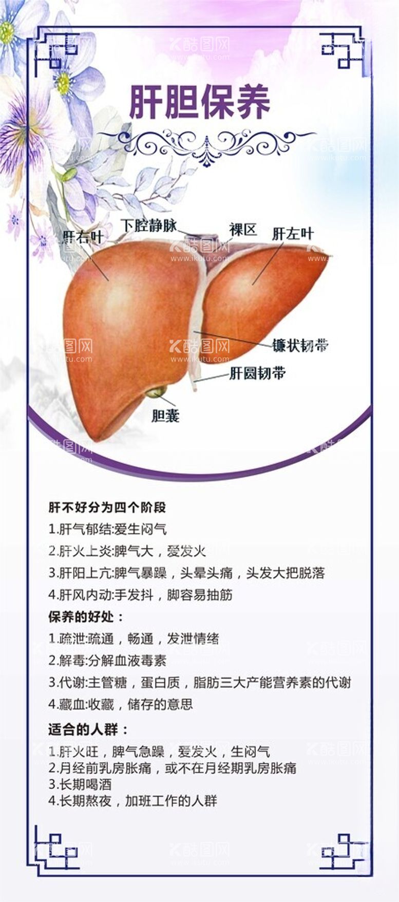 编号：59148812100323318049【酷图网】源文件下载-肝胆保养