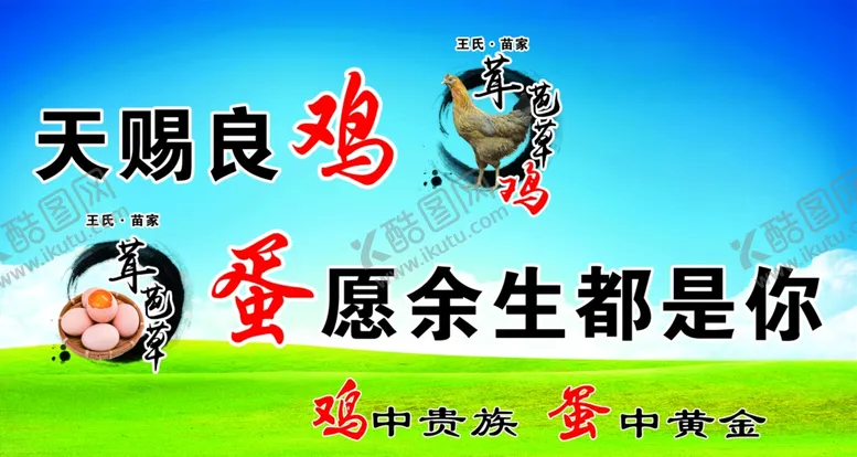 编号：23894003161145591713【酷图网】源文件下载-土鸡蛋广告