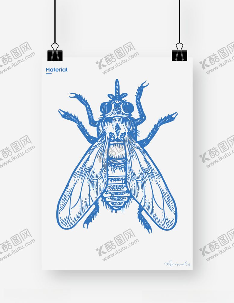 编号：11642009212211021658【酷图网】源文件下载-苍蝇