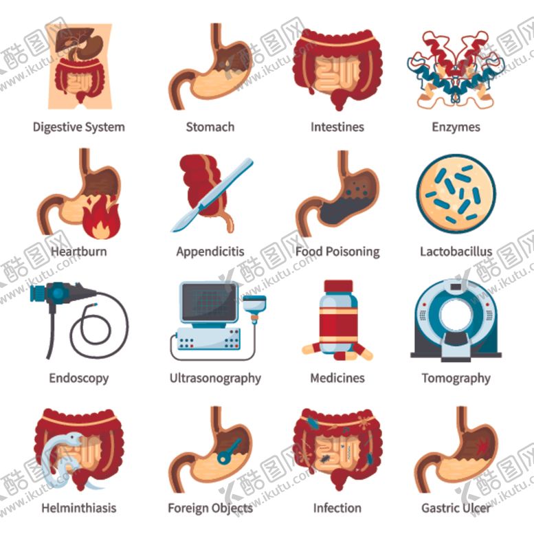 编号：23688910011202134120【酷图网】源文件下载-胃部相关医学图示