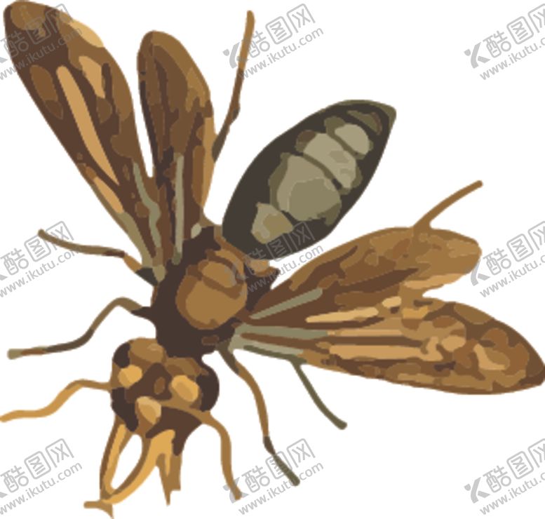 编号：18715707130732126832【酷图网】源文件下载-昆蜜蜂虫插画