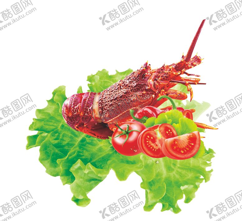 编号：19034407052148036673【酷图网】源文件下载-龙虾