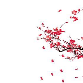 中国风水墨梅