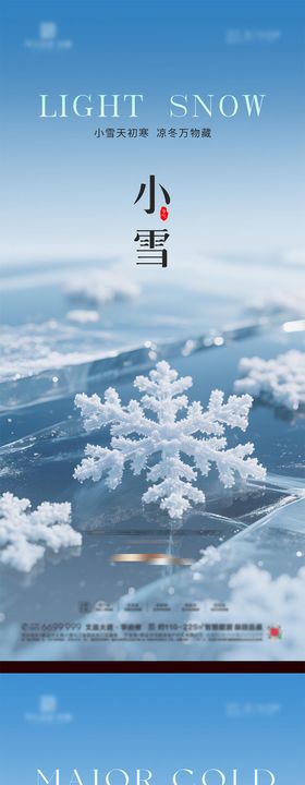 小雪大雪小寒大寒节气海报
