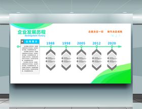 企业发展历程