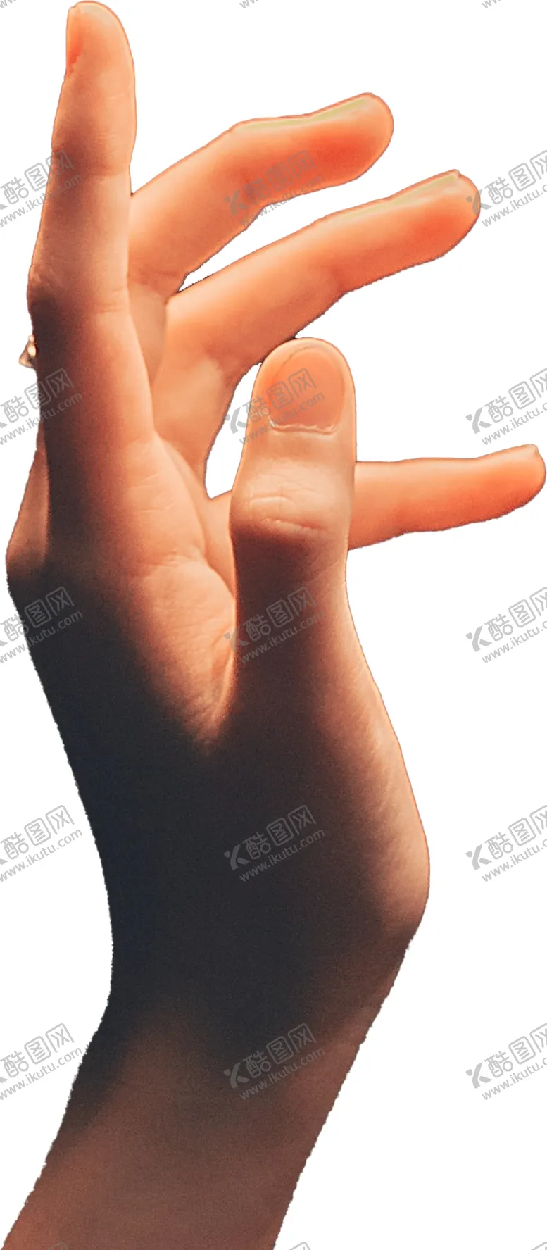 编号：41838902210249101485【酷图网】源文件下载-手部特写图