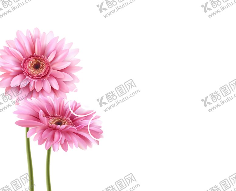 编号：59306207140315398457【酷图网】源文件下载-鲜花素材