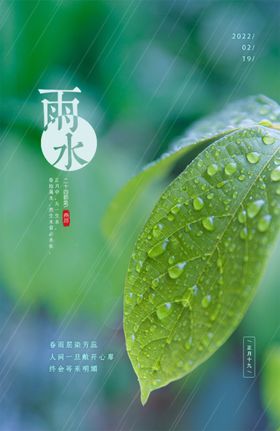 二十四气节雨水海报