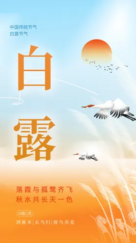 白露传统活动宣传