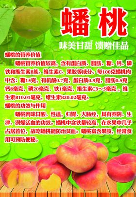 新鲜西红柿展板