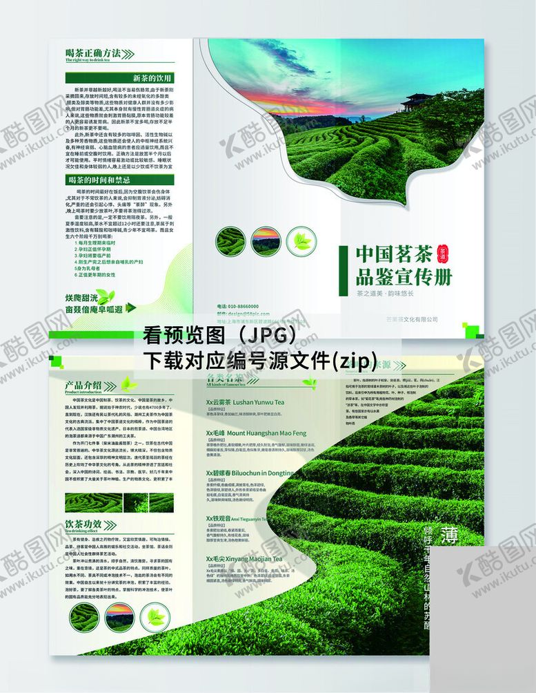 编号：54696806292259232643【酷图网】源文件下载-茶叶三折页