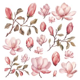 水彩粉色玉兰花插画素材