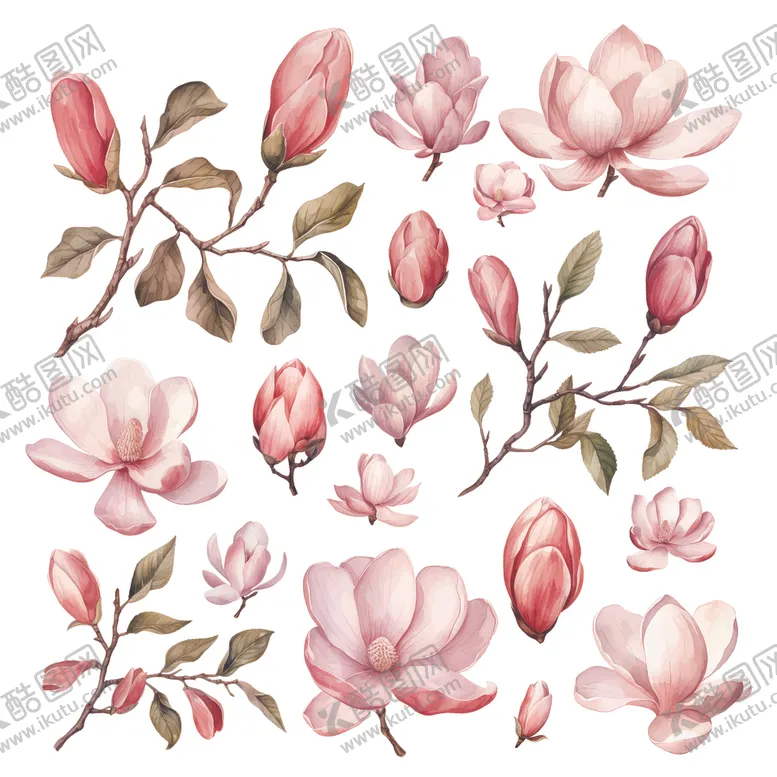 编号：31536704211152587732【酷图网】源文件下载-水彩粉色玉兰花插画素材