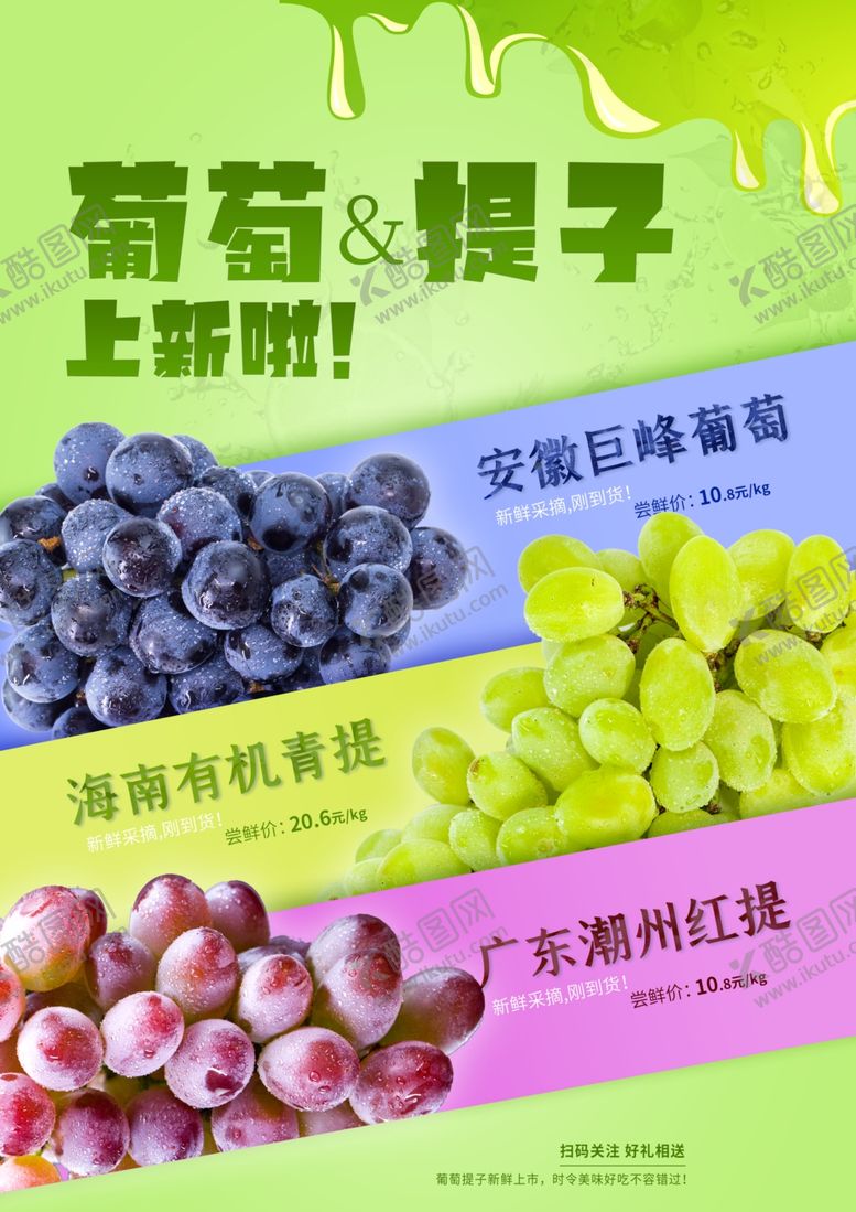 编号：54248704160200069196【酷图网】源文件下载-葡萄提子