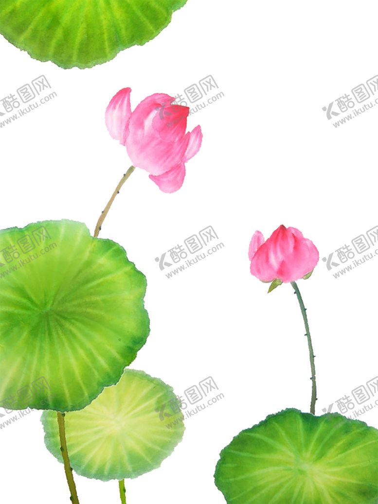 编号：16560507081148083338【酷图网】源文件下载-绿色背景