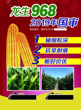 玉米種子苞米龍生紅底