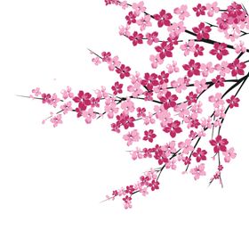 花卉情人节春天手绘樱桃