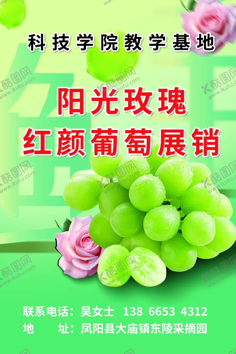 编号：20756302221037109360【酷图网】源文件下载-葡萄海报